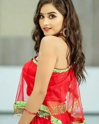 Call Girls Service Sirpur